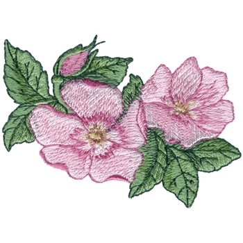 Prairie Rose Embroidery Design | AnnTheGran
