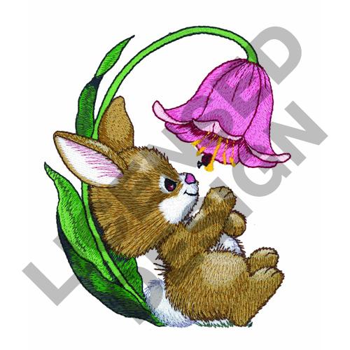 tulip blossom bunny