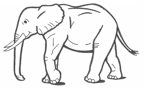 elephant outline painting
