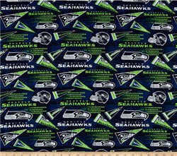 NFL Football Seattle Seahawks 6470-D