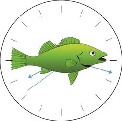 Fish Bucket Vector Illustration