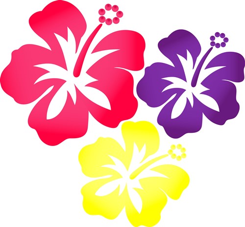 hawaiian flowers vector illustration annthegran