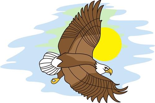 flying eagle vector