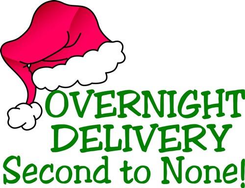 1,200+ Overnight Delivery Stock Illustrations, Royalty-Free Vector