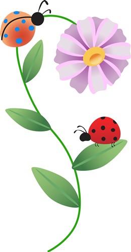 Buy Ladybug Eps Png online in USA