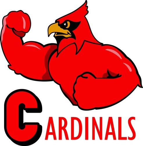 A Great Design For The Cardinals Fans Out There! Get Your Favorite