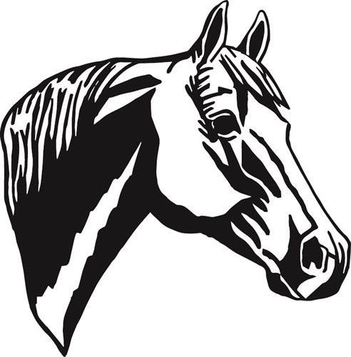 Free Quarter Horse Head Svg SVG PNG EPS DXF File