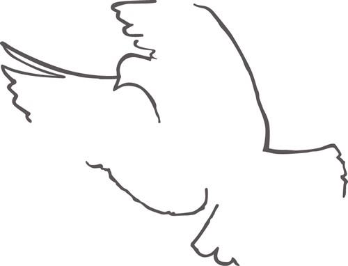 dove outline vector
