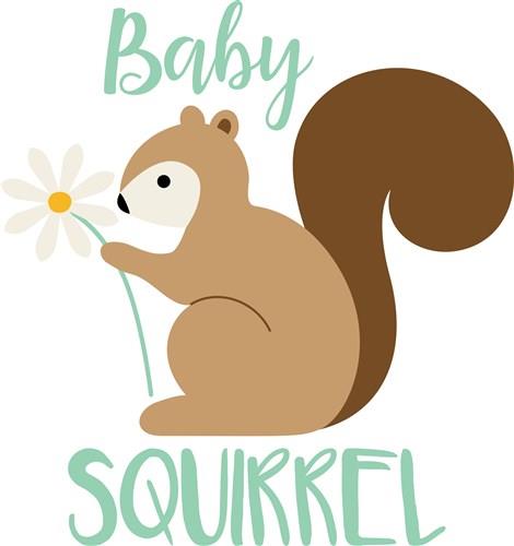 baby squirrel clipart