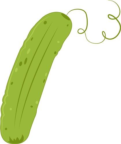 dill pickles clip art