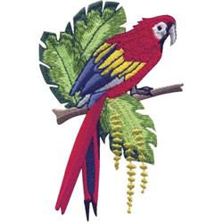 Macaw Parrot Tropical Hand Embroidery Design – StitchDoodles