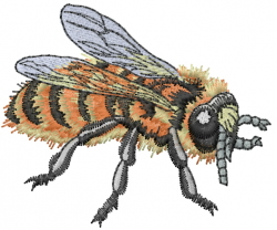 Honey Bee Embroidery Design | AnnTheGran