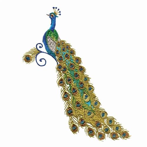 Peacock Tail Embroidery Design