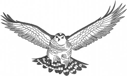 flying hawk drawings