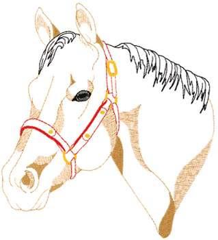 quarter horse head drawings