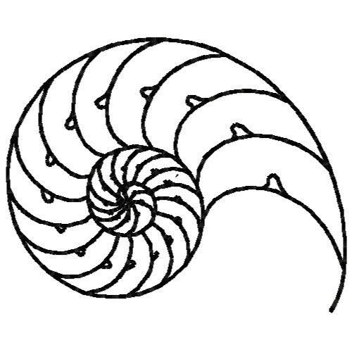 Nautilus Shell Embroidery Design Annthegran Com