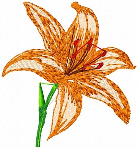 Orange Lily Embroidery Design
